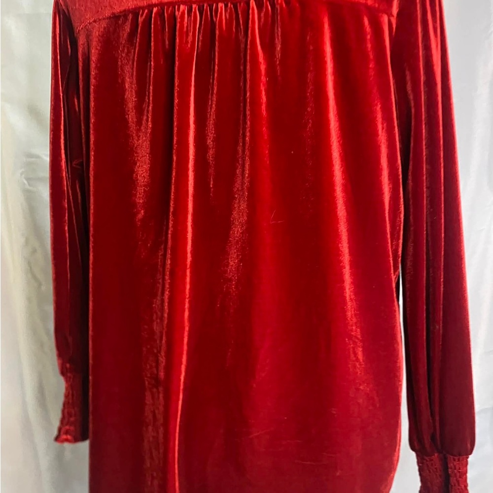 Wonderly Red Velvet Draped Surplice V-Neck Blouse - Size Medium - Picture 4 of 8